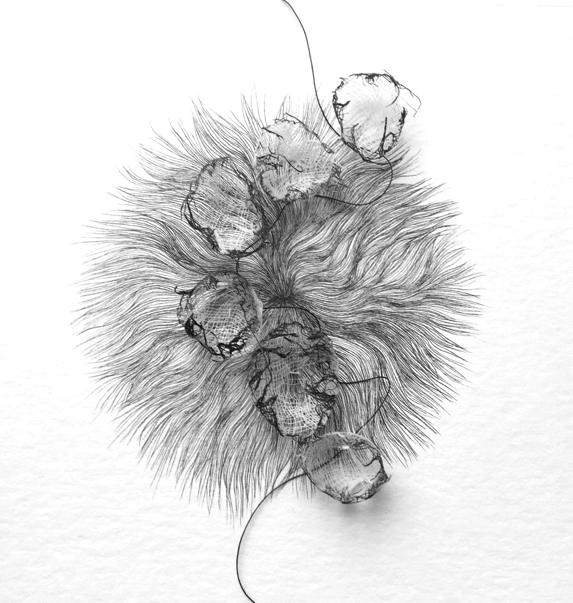 Frédérique Gourdon