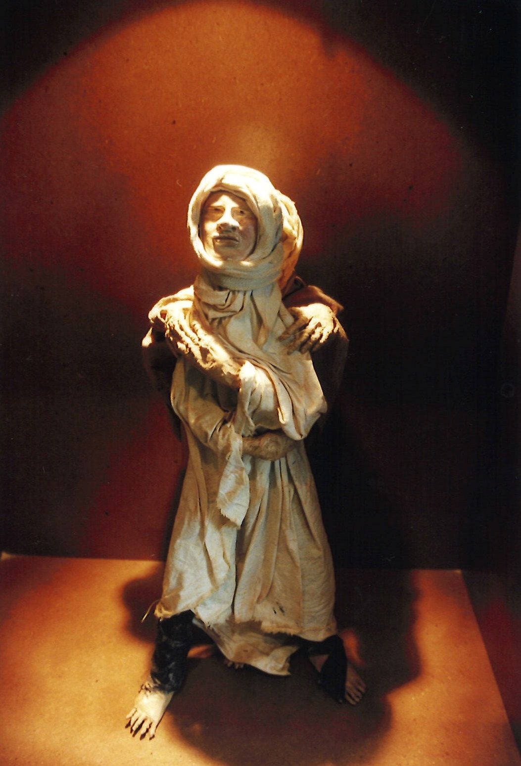 Eugénia Toledo-Aragon