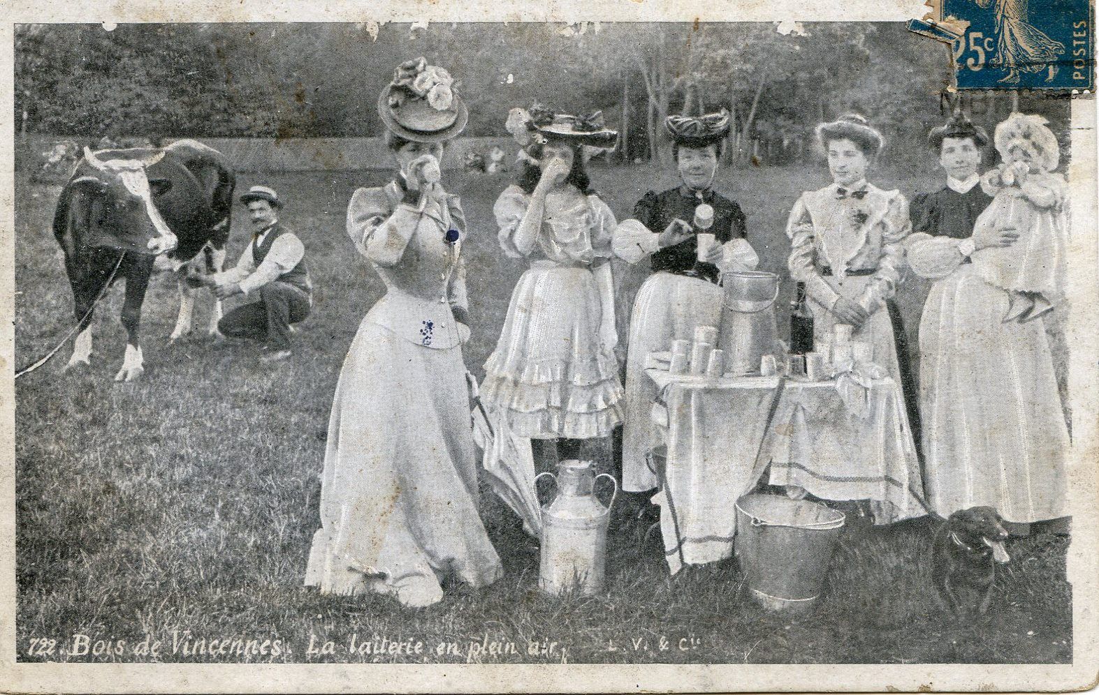 Dégustation de lait frais sur les pelouses du Bois de Vincennes