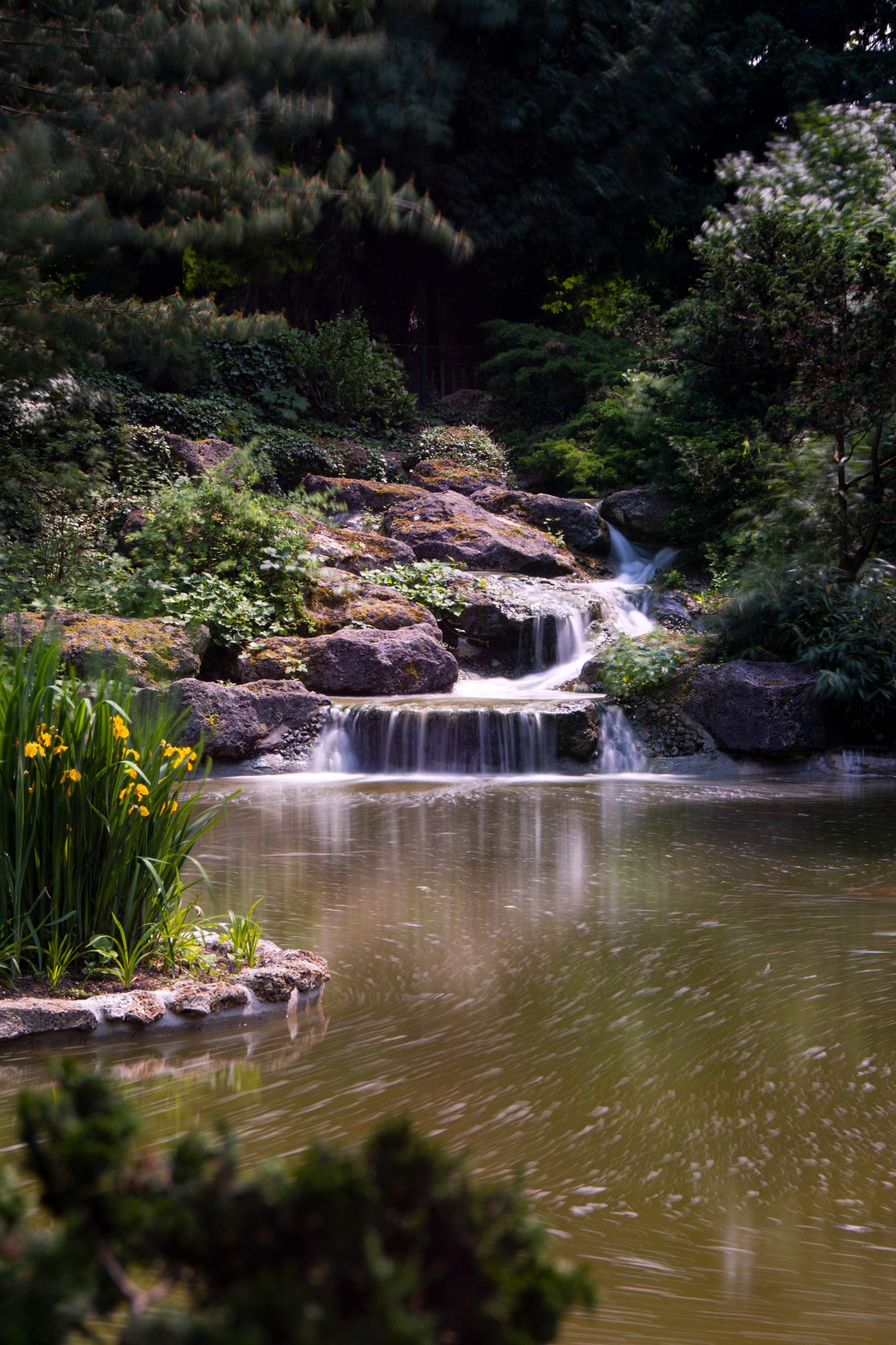 Cascade du bassin du Parc de l'hôtel de ville