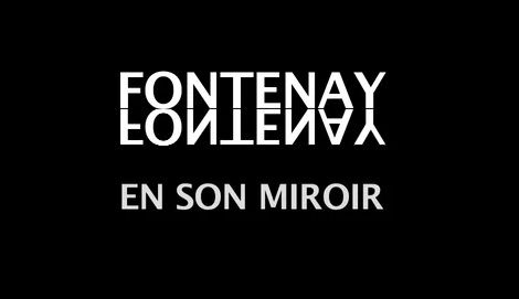 Fontenay En Son Miroir 