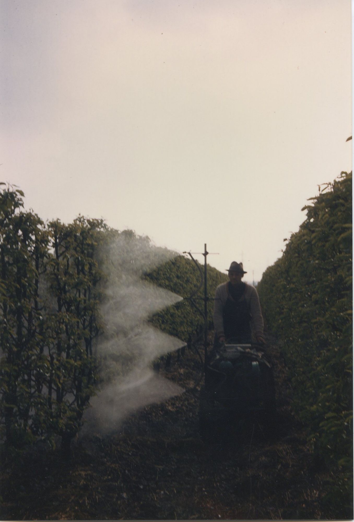 Traitement dans les vergers de la famille Pitou