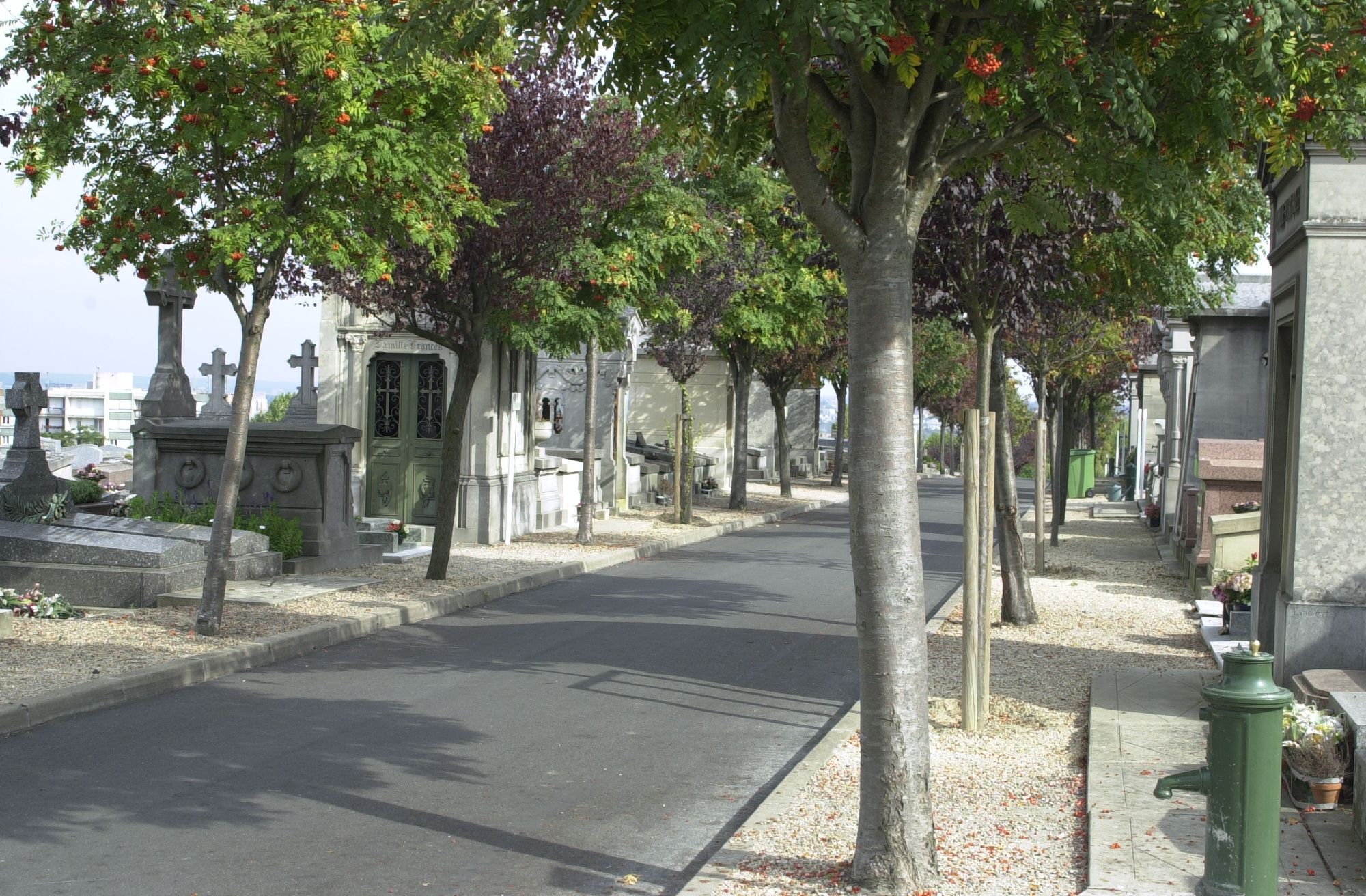 Une allée du cimetière