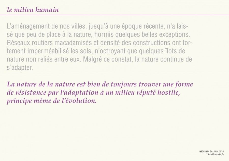 Présentation de M. Saïsse