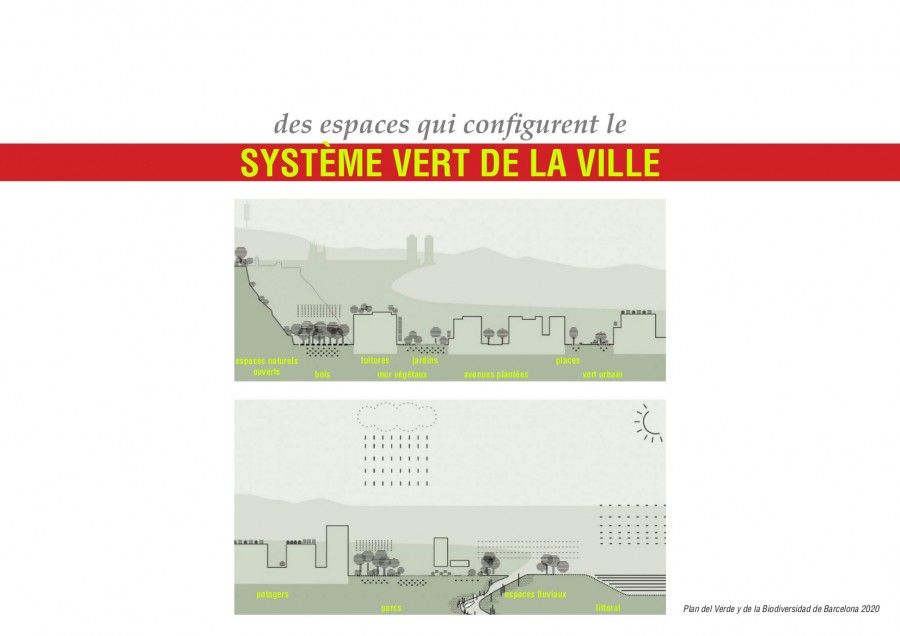 Présentation de M. Saïsse