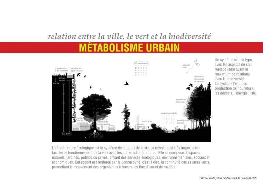 Présentation de M. Saïsse