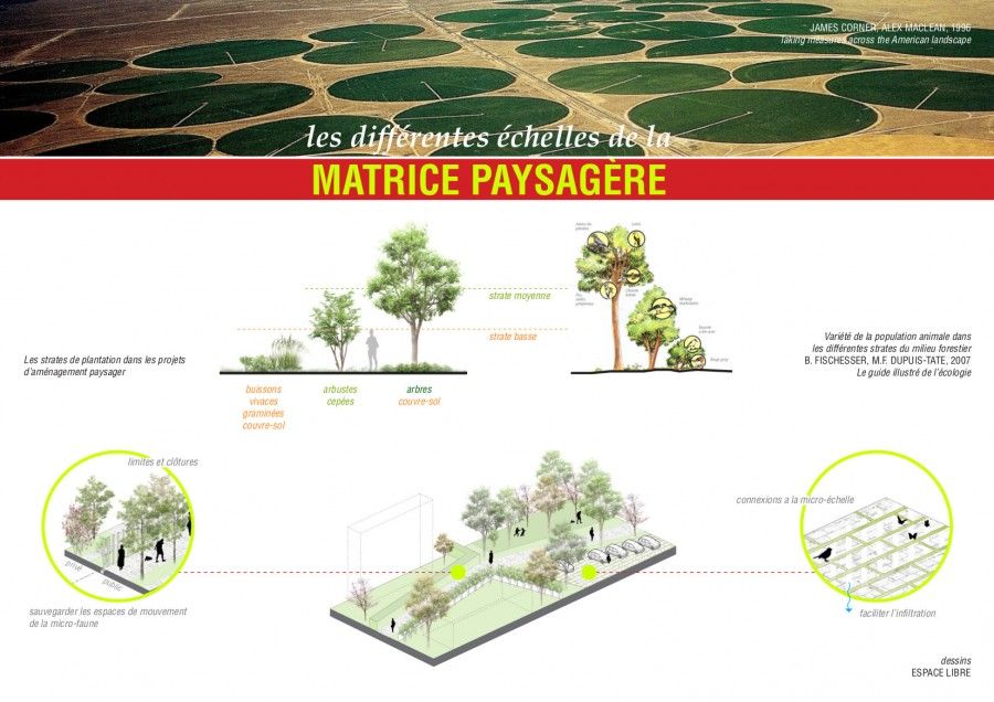 Présentation de M. Saïsse