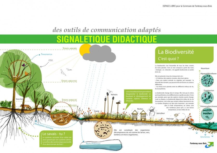 Présentation de M. Saïsse