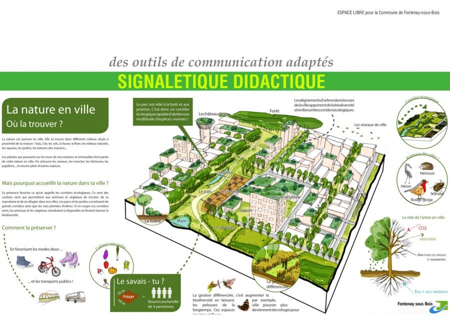 Présentation de M. Saïsse