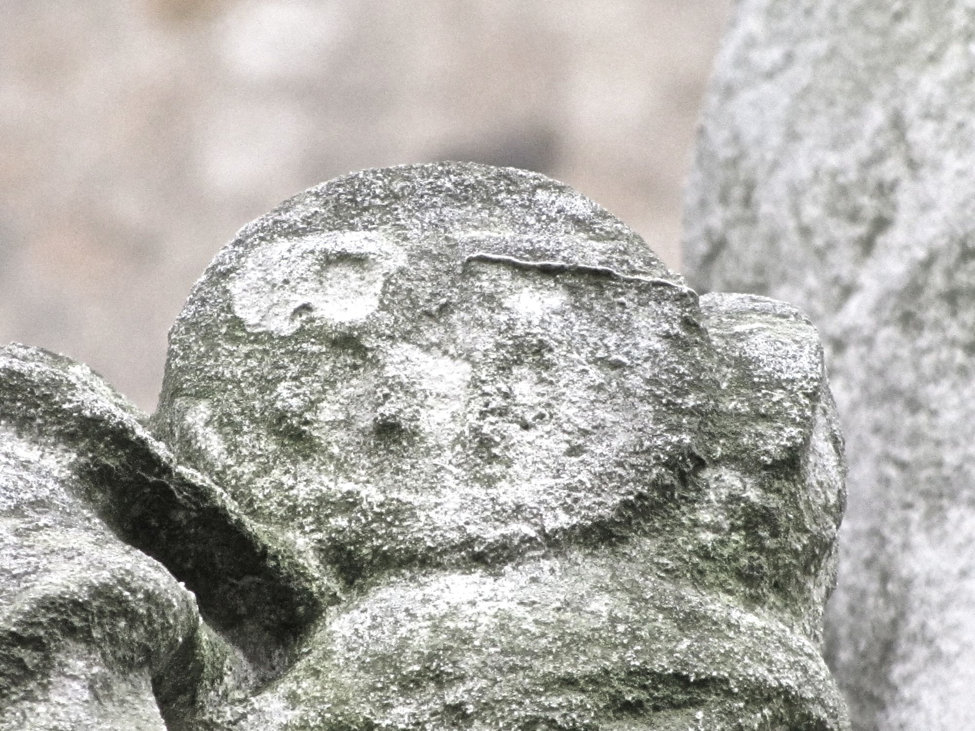 Inscription en haut du drapeau: "RF"