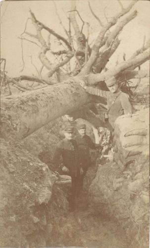 Photographie de Notre-Dame-de-Lorette, tranchée du gros arbre