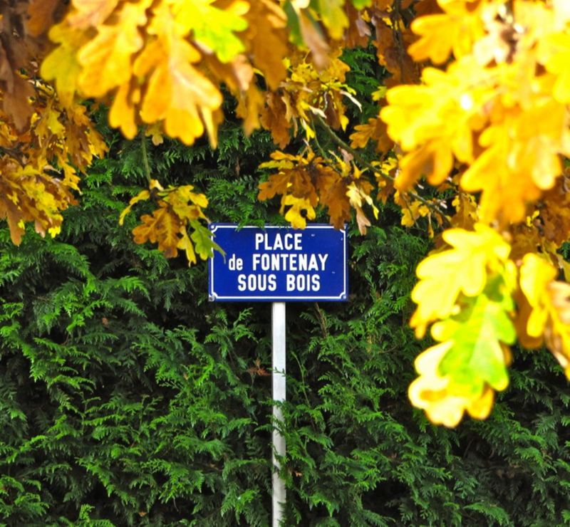 Place Fontenay-sous-Bois à Trucy