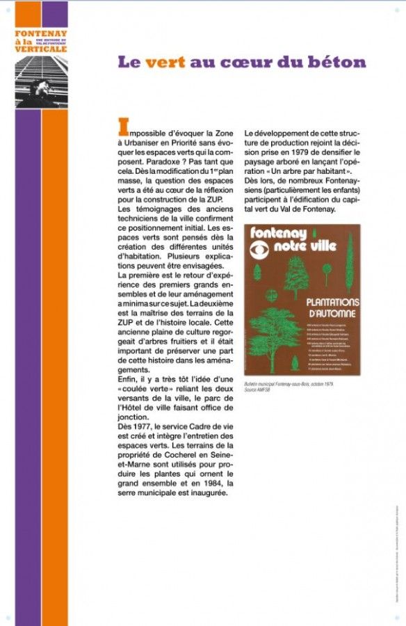 Le vert au coeur du béton