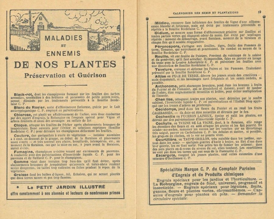 Maladies et ennemies de nos plantes