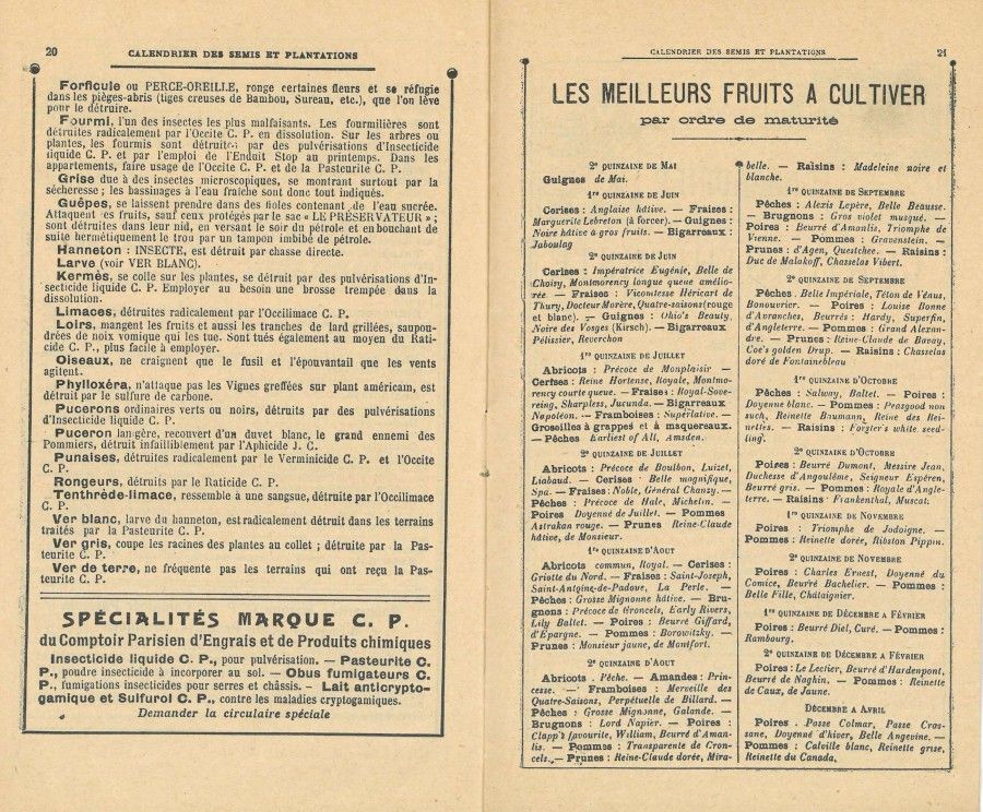 Les meilleurs fruits à cultiver