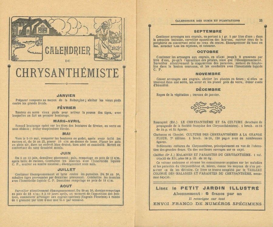 Calendrier du chrysanthémyste