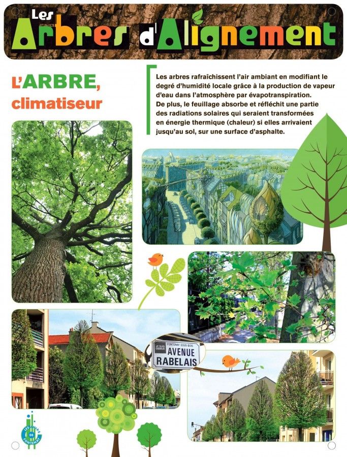 L'arbre, climatiseur