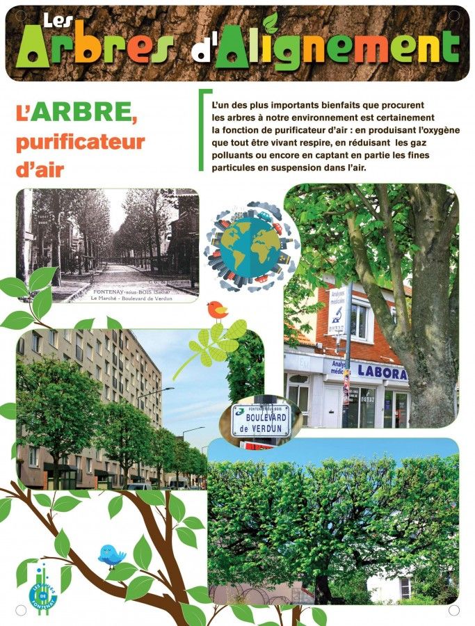 L'arbre, purificateur d'air